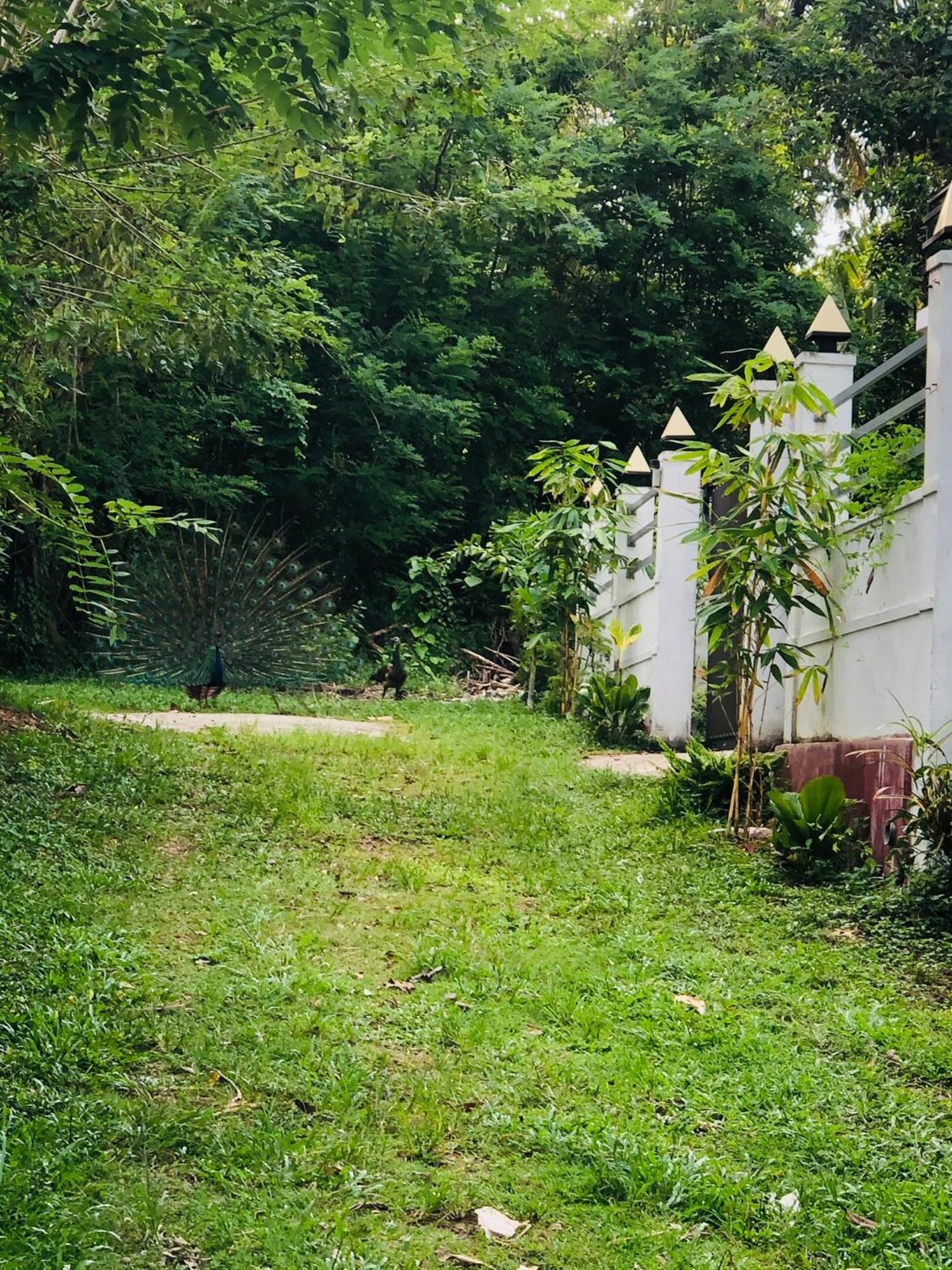 Lanka Villa 미리사 외부 사진