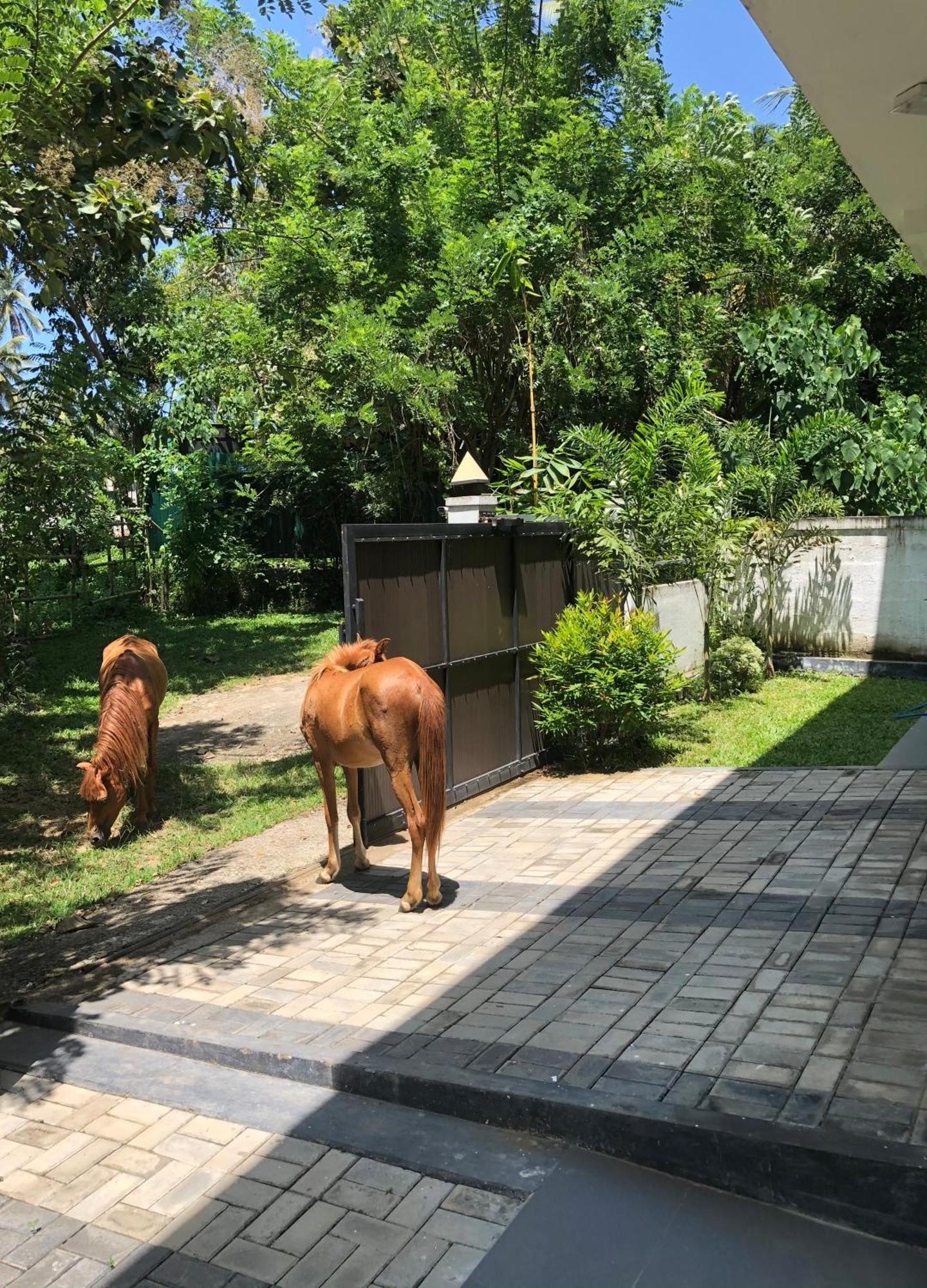 Lanka Villa 미리사 외부 사진